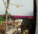 Broughton Green 2011